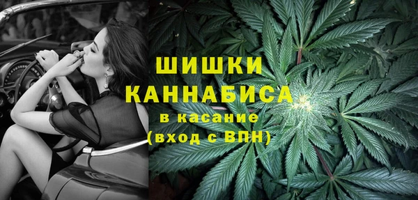 PSILOCYBIN Алзамай