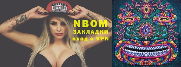 PSILOCYBIN Алзамай
