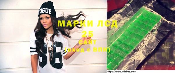 PSILOCYBIN Алзамай