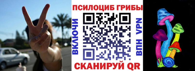 где купить наркоту  ссылка на мегу ССЫЛКА  Галлюциногенные грибы Psilocybe  Урай 