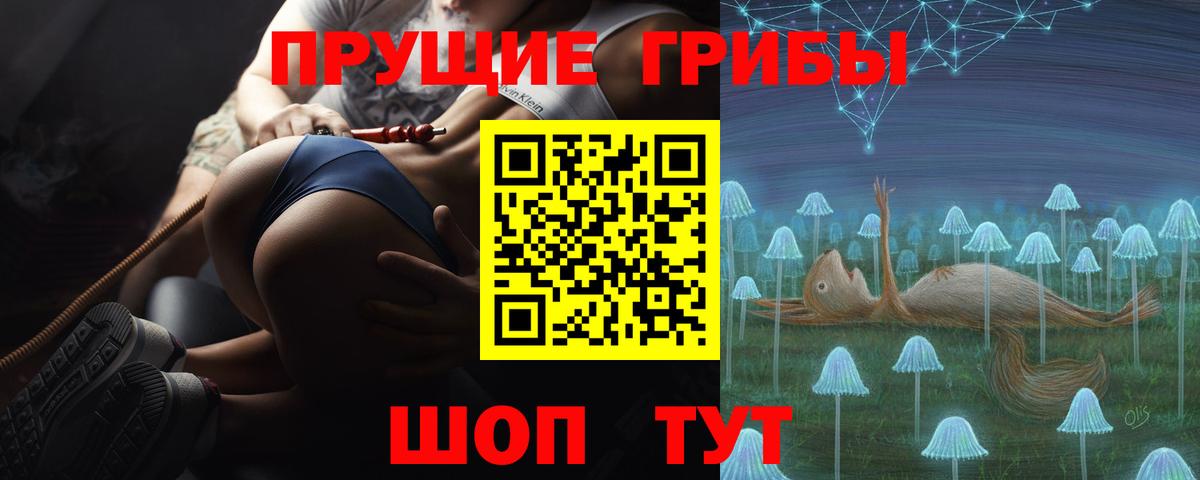 Псилоцибиновые грибы прущие грибы Урай