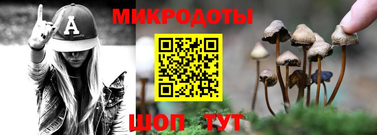 Галлюциногенные грибы Psilocybe  где купить наркоту  Урай  Вход с VPN 
